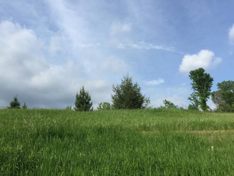 Enjoy pleasant fields of grass along Prairie Fire Loop C.