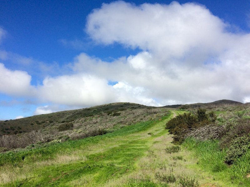 It's clear this area has seen recent rain (judging by the trail), but otherwise it's pretty fun.