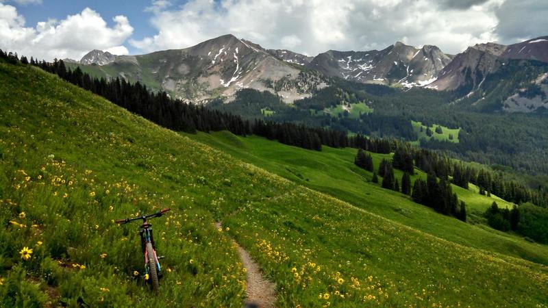 The wildflowers are beautiful in July.