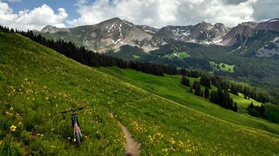 The wildflowers are beautiful in July.
