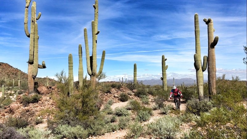 The scenery throughout Sweetwater Preserve is just unbelievable.