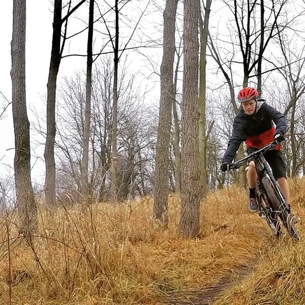 Rip this fast section through the trees on Jon's Joyride.