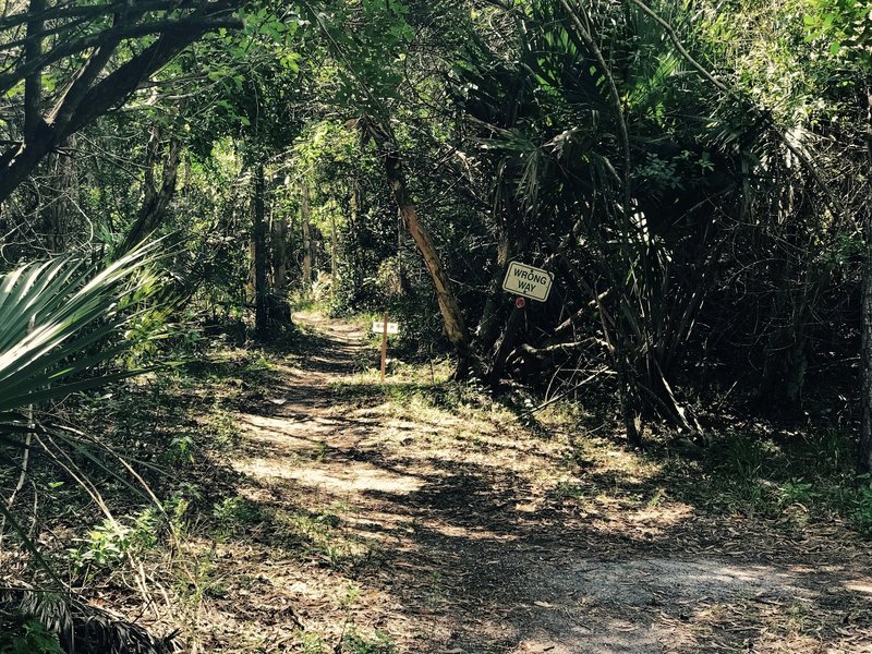 This is the trail exit. Be sure to ride the trail the right direction!