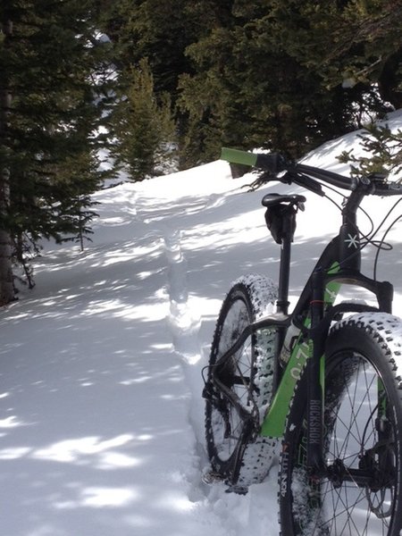 Winter means fresh tracks on the climb from Rainbow Lakes along South Sourdough.