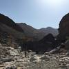 Find the ever-changing line through the boulders in the wadi.