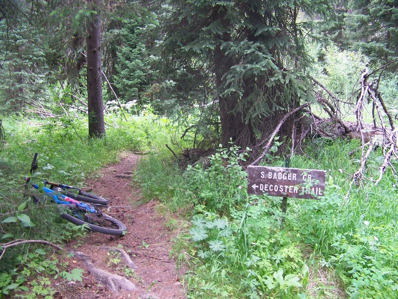 Signs are rare along the Decoster Trail.