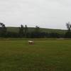 Atop the lower landfill mound, it's nice and grassy.