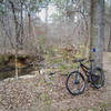 The pleasant Rock Dam Trail winds along Cliatt Creek.