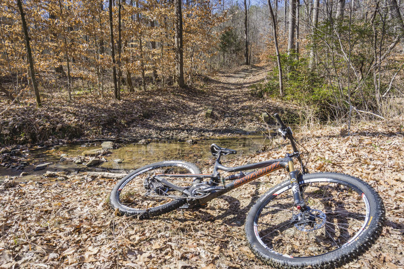 Navigate many crossings of Frady Branch along the Frady Branch Trail.