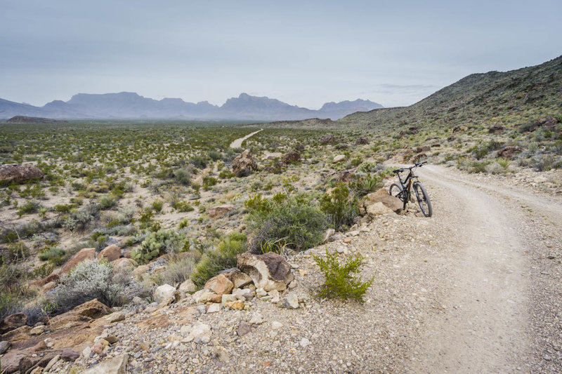 It's easy riding through the desert on Glenn Springs Road when the Chisos Mountains serve as your backdrop.