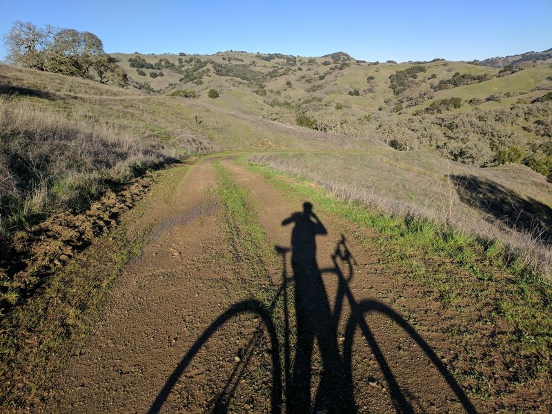 Wagon Trail Road is scenic as it heads north through the hills.