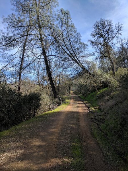 County Line Road travels toward Mustang Peak.