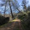 County Line Road travels toward Mustang Peak.