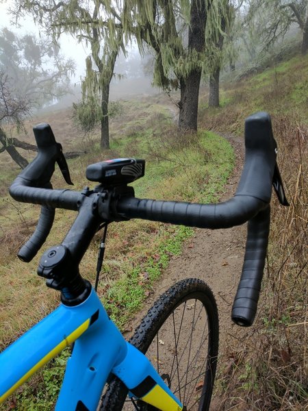 Head up Jim Donnelly Trail on smooth singletrack.