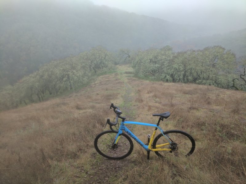 Headed down Steer Ridge Trail toward Hunting Hollow parking lot, the trail is steep and moist on this foggy day.