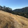 Jackson Trail side-cuts through the dry grass.