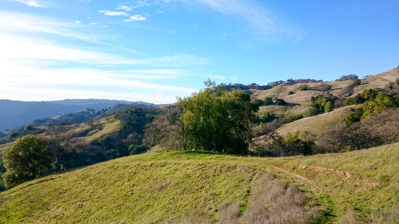 Green hillsides surround the Dexter Trail.