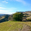 Green hillsides surround the Dexter Trail.