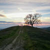 Silhouettes stand on Steer Ridge Road at sunset.