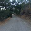 Coit Road's wide, gravel surface makes for a nice spin.