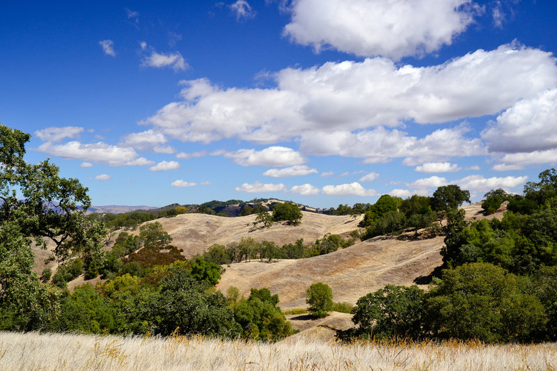 Enjoy beautiful views across the hills on Steer Ridge Road.