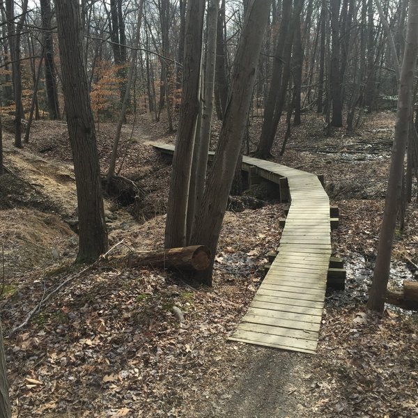 A raised boardwalk makes for a fun challenge along the Crow's Foot Trail.