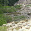 The beginning of the third section of Lower Rock Creek Trail, heading downstream, encompasses a roller section with a couple surprise curves and some rocks.