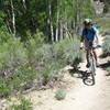 The first section of Lower Rock Creek Trail is buff with some fast, fun sections through the trees.