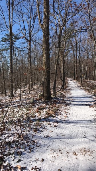 A snow day on Ol' Martha made for a fantastic ride!