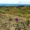 Joe's Ridge is a flowing ribbon of smooth dirt with great views.