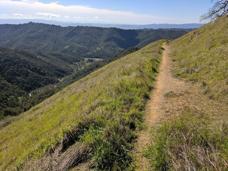 Heading down Lyman Wilson Ridge Trail, enjoy these phenomenal views.