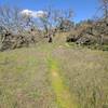 Middle Steer Ridge Trail confronts steep gradients that will either test your lungs or your brakes.