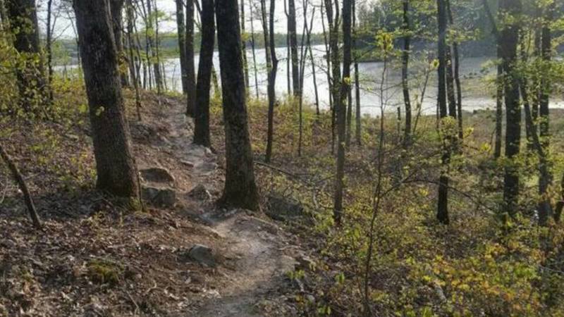 There are plenty of rocks to navigate along the Bono Lake Trail.