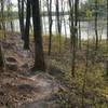 There are plenty of rocks to navigate along the Bono Lake Trail.