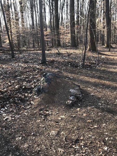 Keep your eyes peeled for this rock-jump along the Gerry Connolly Cross Country Trail.