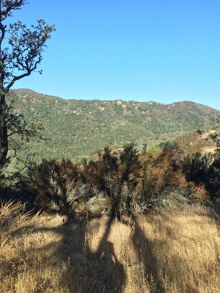 Enjoy nice views from the Grapevine Trail.