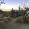 The Wild Burro trailhead is very well marked.