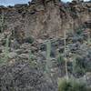 "Machu Picchu" can be seen off to the side of Wild Burro.