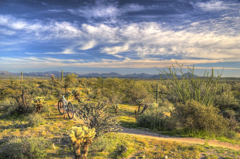 Winter riding can be utterly beautiful on the Technical Loop at McDowell.