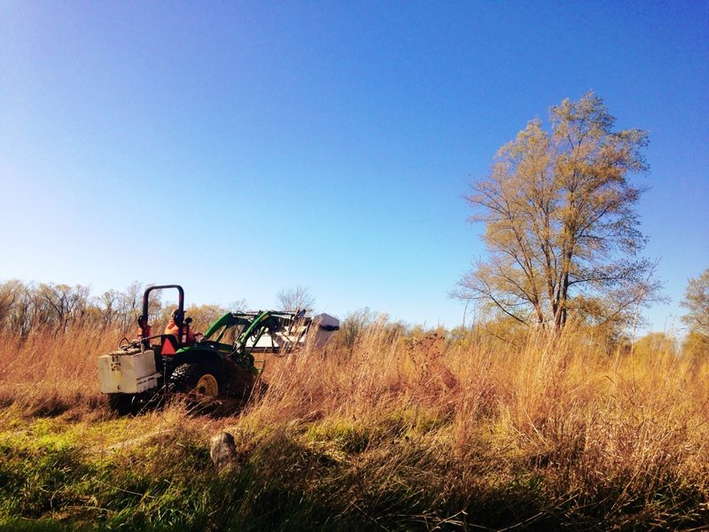 A city employee harvests prairie seed adjacent to the Anglers Eyelet.