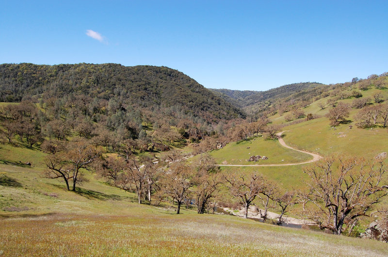 Willow Ridge Road is a wonderful spot to be on a nice day.