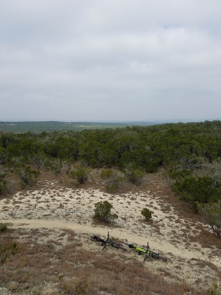 The Madrone Trail offers a chance to get high above your surroundings and enjoy the view.