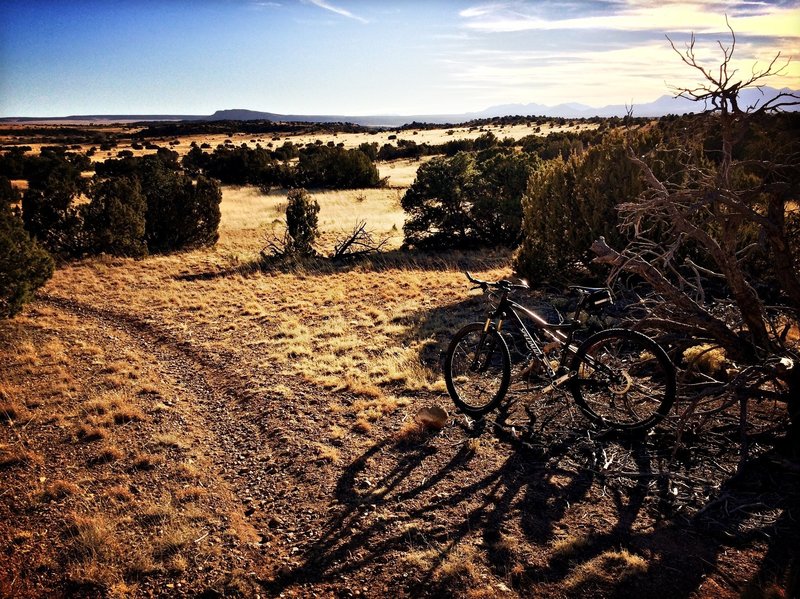 Afternoon light makes for a fantastic ride in the Galisteo Basin Preserve.