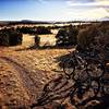 Afternoon light makes for a fantastic ride in the Galisteo Basin Preserve.