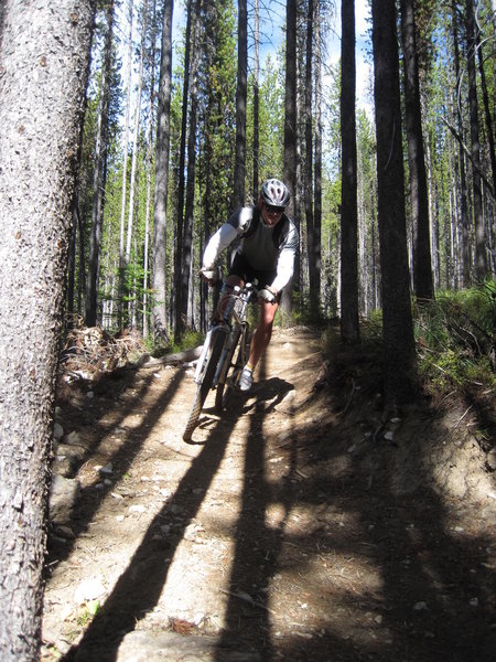 Enjoy tall trees and nice dirt on this downhill.