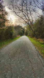 A smooth path makes for easy riding.