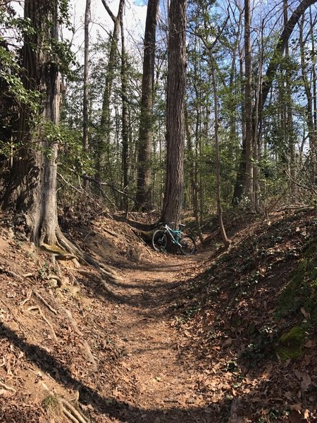 powhite park mountain bike trail