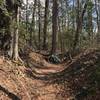 Check out the halfpipe on Powhite Park Trail!