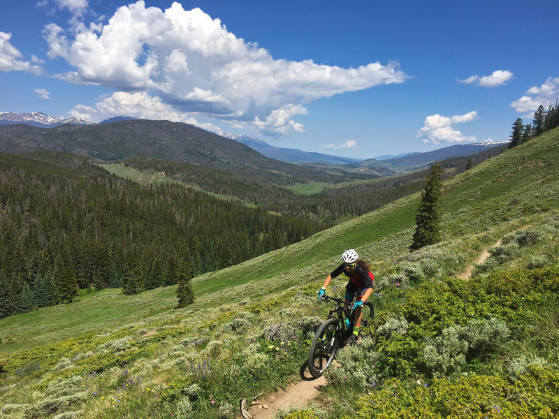 Galena Gulch to Colorado Trail - West Ridge Mountain Bike Trail ...