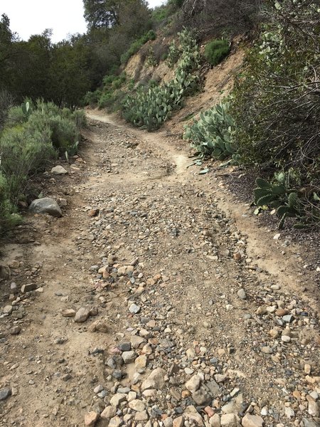 There are large rocks on parts of the Arroyo Trabuco Trail.